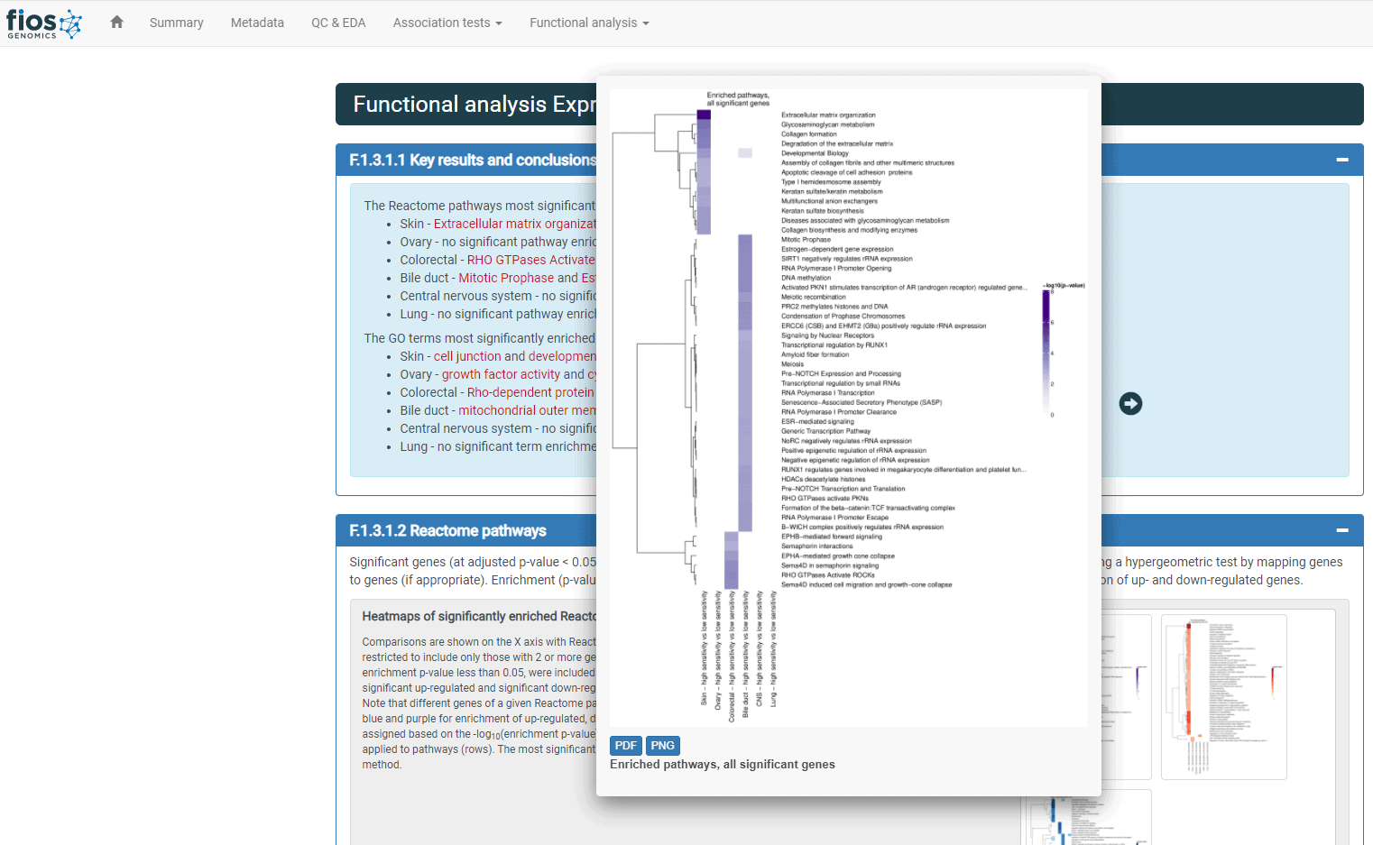 Genetic Variation -Heatmaps of significantly enriched Reactome pathways