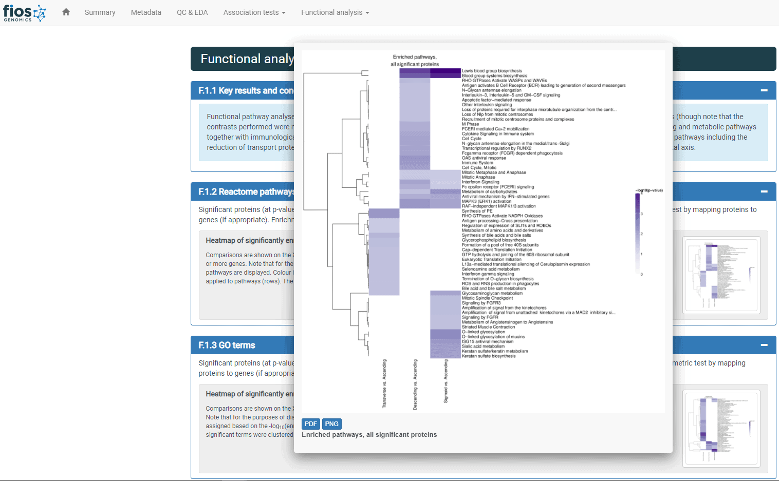 Graph from Report: Proteomic profiling of human colon segments