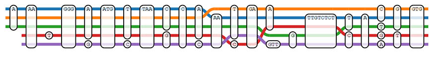 sequence tubemap