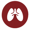 Bioinformatics solutions - lungs icon