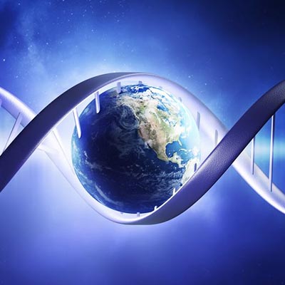 dna world