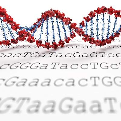 Strand of DNA above strings of DNA code.