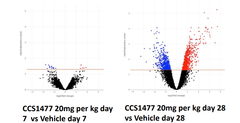 Volcano plots image