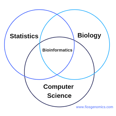 What is Bioinformatics? Diagram