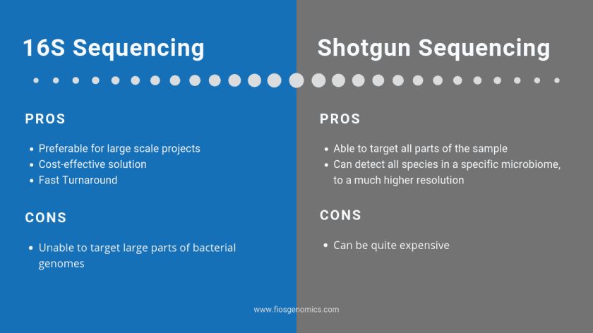 16s Sequencing vs Shotgun Sequencing