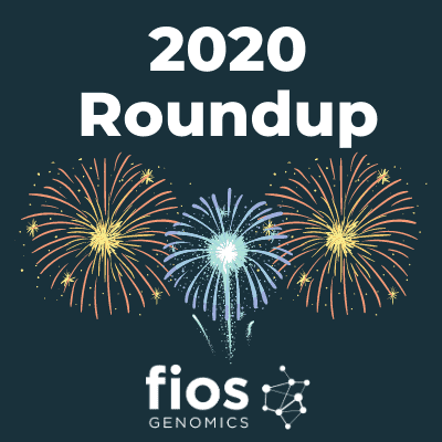 Fios in 2020 roundup