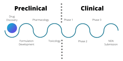 Bioinformatics and the Pharmaceutical Industry: Drug Discovery