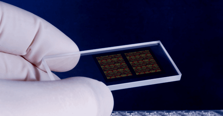 An illustrative example of a microarray slide showing 2 squares on a microspoe slide which are composed of multicoloured dots | Microarray data analysis from Fios Genomics