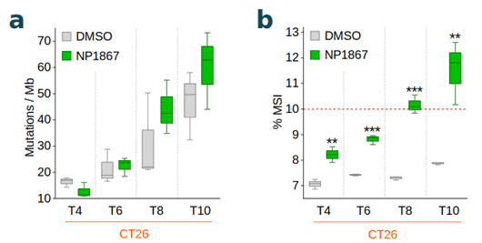 Image shows two graphs depicting Treatment of the murine colorectal cancer cell line CT26 with DMSO (control) or NP1867 over time.