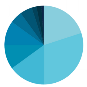 Image shows a blue pie chart.