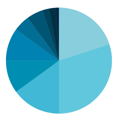 Image shows a blue pie chart.
